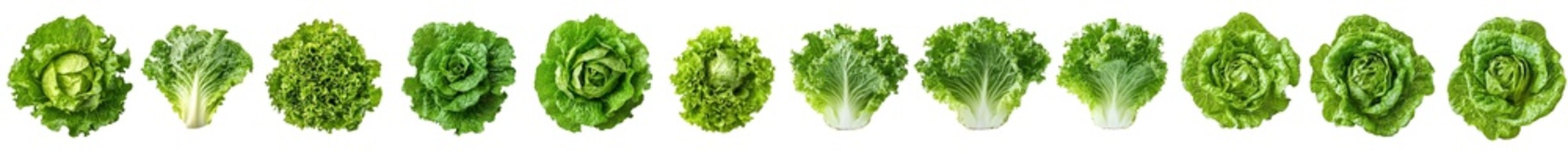 Poster - Salad, lettuce, clipped path, full depth of field, isolated on white background