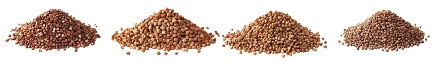 Wall Mural - An isolated buckwheat grain on a white background, in full focus