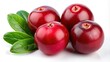 © prasit - Cranberry berries isolated on white background with clipping path