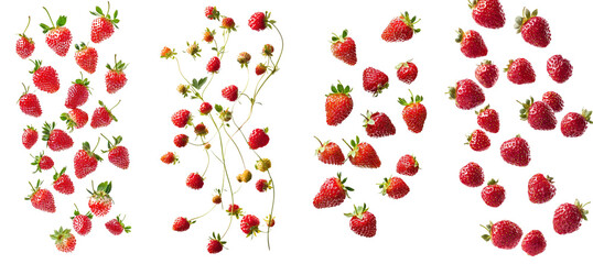 Sticker - An isolated, full-depth shot of a falling wild strawberry on a white background