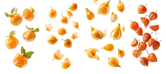 Aufkleber - The physalis of the Cape gooseberry is isolated on a white background, with full depth of field