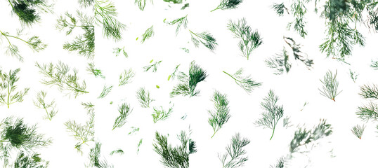 Aufkleber - White background, full depth of field, falling dill isolated