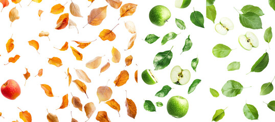 Poster - Isolated, full depth of field image of a falling apple leaf
