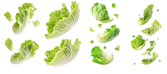 Aufkleber - The falling Chinese cabbage is isolated on a white background, with a full depth of field