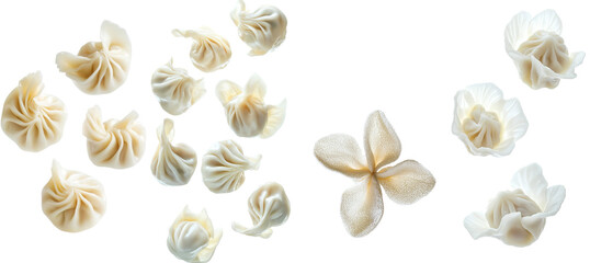 Poster - Pattison falling on white background, full depth of field