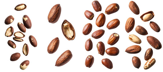 Poster - Isolated nut of Brazil that is falling onto a white background, with full depth of field
