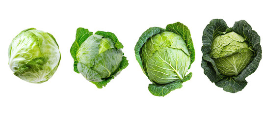 Poster - Intense depth of field, falling cabbage isolated on white