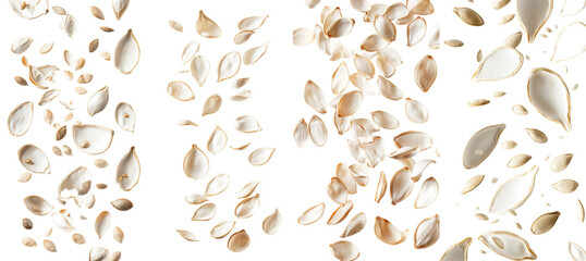 Poster - Falling pumpkin seeds on a white background, full depth of field
