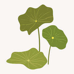 Sticker - lotus illustration vector