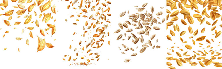 Poster - In full depth of field, one sunflower seed is falling on a white background.