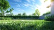 © Gular - Treeless nice open empty backyard with green grass blue sky