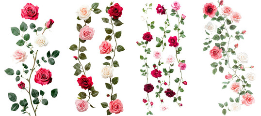 Poster - Full depth of field, isolated falling roses on white background