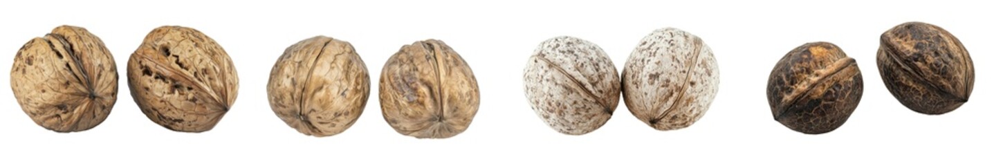 Poster - Defining depth of field, walnut, nut on white background