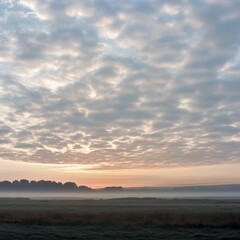 Wall Mural - A misty sunrise over a field with a hazy sky.