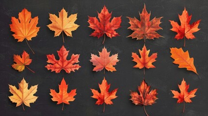 Poster - Autumn leaves borders Nature design elements set Fall maple leaves for decoration