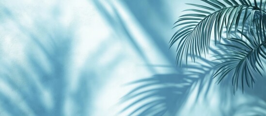 Poster - 3D rendering of blurred shadows from palm leaves on a light blue wall creating a minimal abstract background suitable for product presentation