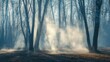 © Achmad Khoeron - Trees in the fog. The smoke in the forest in the morning. A misty morning among the trees