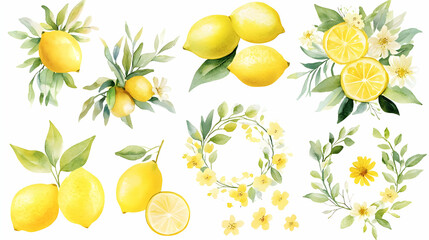 Wall Mural - Watercolor Lemon Wreath Clipart Floral Illustration Yellow Citrus Fruit Green Leaves