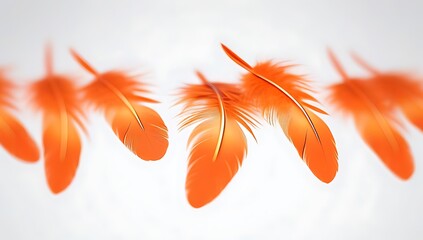 Wall Mural - orange feathers float white background symbolizing birds angels demons feathers depicted bokeh motion blur glowing fantasy setting