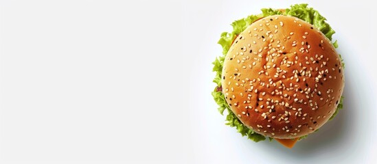 Poster - Top down perspective photograph of a hamburger bun on a white backdrop with available space for additional images