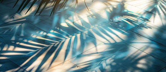Poster - Morning sun creates a shadow of leaf on floor tiles with palm branches offering a high quality photo with copy space image
