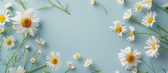Poster - Top view of white daisies and chamomile flowers on a light blue background with copy space image creating a creative summer inspired layout