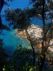 Punta Chiappa, Liguria, Italy