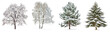 © David Kreuzberg - set off different winter tree covered with snow isolated on white or transparent png