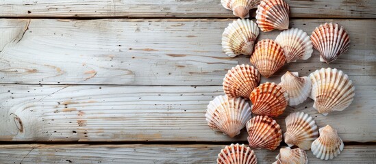 Poster - Scallops arranged on a wooden surface with a white backdrop seen from above offering a clear space for text or additional elements in the image
