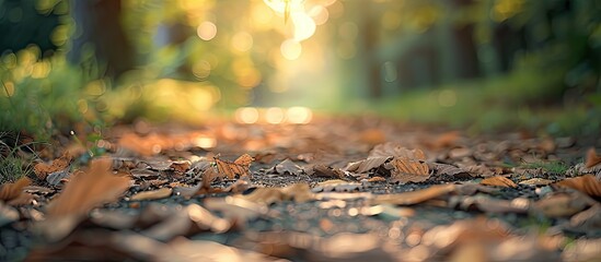 Poster - Blurry outdoor abstract photography with a defocused view of green nature on the ground showcasing brown dry leaves grass and a bokeh effect perfect for a wallpaper background or design with copy spa