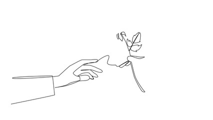 Poster - Self drawing animation of single continuous line drawing a man's hand gives a rose to a woman. Trying to do the slightest romantic thing. Doing seduction. Romantic couple.  Full length animated