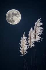 Poster - A full moon is seen behind tall grass in the dark.