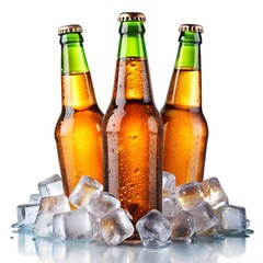 bottle of beer with ice