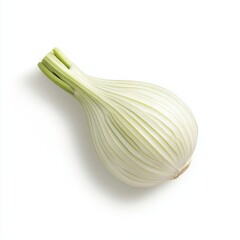 Sticker - A single whole bulb of fennel with green stalks, isolated on white.