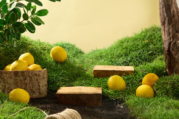 Green grass garden and fresh lemons decorated with two wooden podiums for display product. Natural vitamin C skin care beauty product concept. Blank space