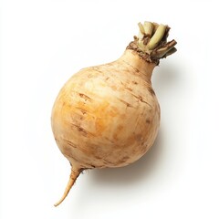 Wall Mural - A single, whole, yellow turnip isolated on a white background.