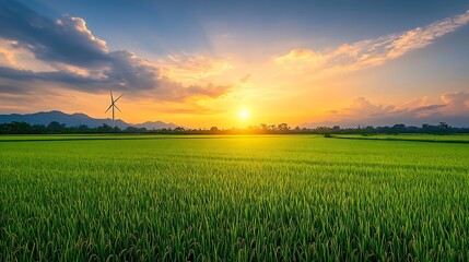 Green rice field with wind turbine at sunset sky background Countryside landscape : Generative AI