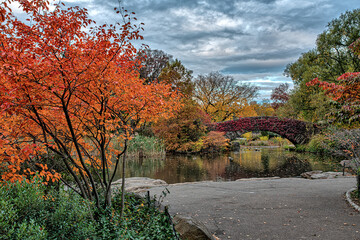 Wall Mural - Gapstow Bridge in Central Park