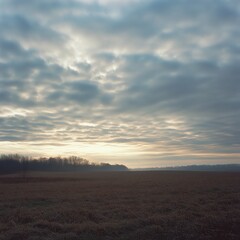 Wall Mural - A vast, open field with a line of trees in the distance under a cloudy sky, the sun peeking through the clouds.