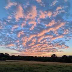 Poster - A vibrant pink and blue sky with clouds over a grassy field and trees in the distance.