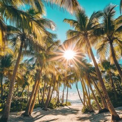 Sticker - A view from the bottom of a lush palm tree grove on a white sandy beach with bright sun shining through the leaves.