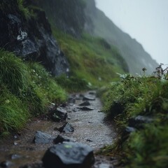 Sticker - A wet, rocky path winds through lush green foliage under a misty sky.