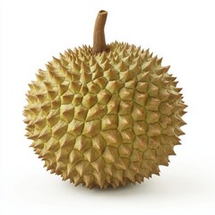 Poster - A whole durian fruit with a spiky, green, and brown exterior.