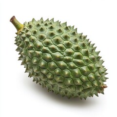 Poster - A whole green durian fruit with a spiky outer shell, isolated on a white background.