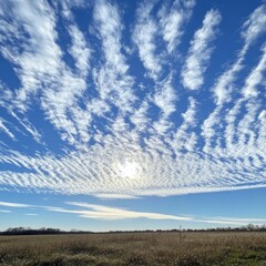 Canvas Print - A wide-angle shot of a field with a bright sun shining in a blue sky with white wispy clouds.