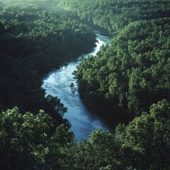 Sticker - A winding river flows through a lush forest, with sunlight reflecting off its surface.