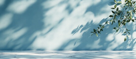Poster - 3D rendering of a minimalistic light background featuring blurred foliage shadows on a soft blue wall complemented by a marble floor Ideal backdrop for presentations