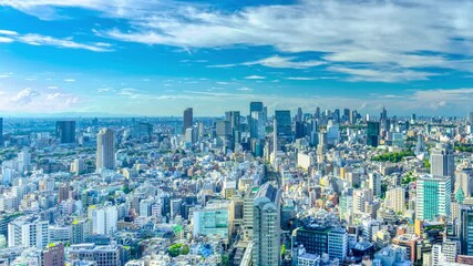 Wall Mural - 東京タイムラプス・渋谷や新宿を望む　2024