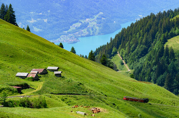 Canvas Print - alpage et lac de brienz