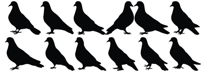 Wall Mural - Pigeon silhouette set vector design big pack of bird illustration and icon